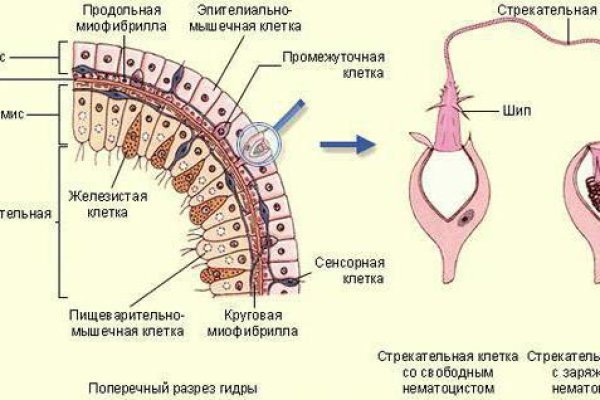 Маркет плейс кракен маркетплейс