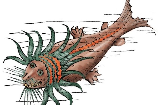 Найдется все kraken 2krn cc