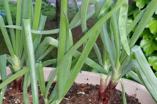 Кракен сайт store